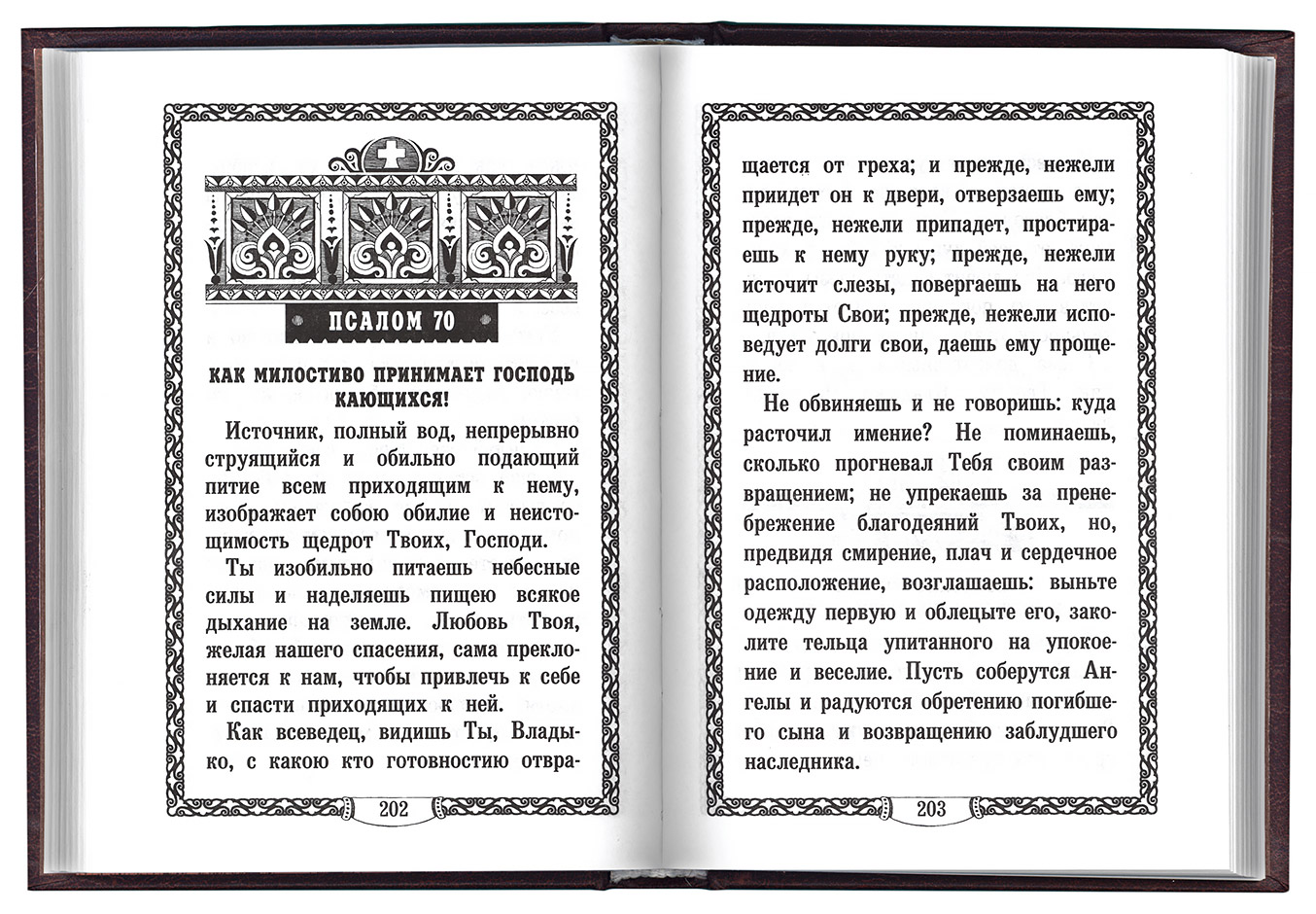 Молитва псалтырь дома. Псалтирь преподобного Ефрема Сирина. Псалтирь прп. Ефрема Сирина.. Псалтырь Ефрема сиринянина. Святитель Феофан Затворник. Псалтирь преподобного Ефрема Сирина.